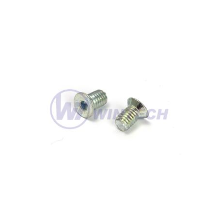 Screw V-06-026-003 M5 x 8  zp Cr3+